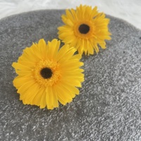 Bunga Kering Alami Terpopuler Gerbera Daisy Sunflower Krisan Kepala Bunga Terawetkan Hari Valentine Wisuda
