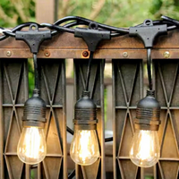 Guirlande lumineuse LED en cuivre en gros, 2700K blanc chaud, étanche IP65 pour jardin, patio, décorations de vacances et extérieur