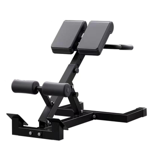 CZFIT Multifunctional Metal Roman Chair with Mechanical Foldable <b>Dumbbell</b> Trainer Home Fitness Sit-Ups Abdominal Exercises - Product Image 1