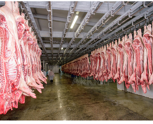 Arkref lạnh lò mổ và thịt & trái cây chế biến Tủ đông lạnh lưu trữ đi bộ trong phòng lạnh - Product Image 6