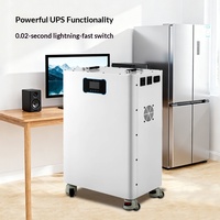 Batterie de stockage d'énergie domestique 220V, alimentation portable extérieure, batterie au lithium fer phosphate, prise en charge de la charge photovoltaïque, fonction UPS