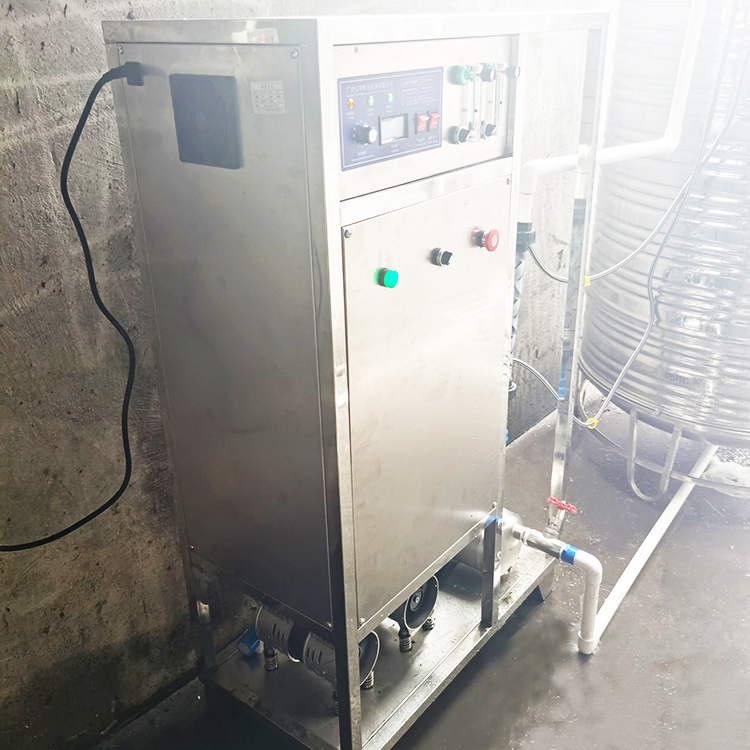 Оборудование для очистки воды XYozone, устройство для очистки озона 1-8ppm, генератор озона для мытья фруктов и овощей