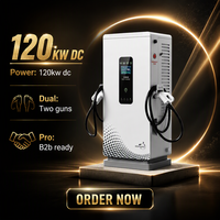 Station de recharge DC au sol 120 kW à double pistolet, chargeur rapide