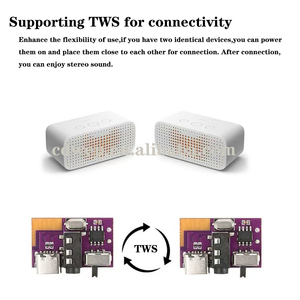 Mono Amplifier Audio DC3.5V untuk 5V 5W Mini blue tooth Amplifier Decoding papan mendukung TWS koneksi ganda dan antarmuka TYPE-C - Product Image 5