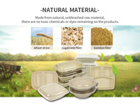 Assiettes jetables biodégradables en bagasse de canne à sucre pour vente en gros, barquette à sushi à emporter, conteneur écologique pour assiette à sushi avec couvercle