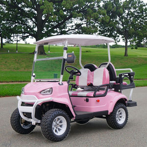 Voiturette de golf électrique 4 places personnalisable et écologique, certifiée zéro émission DOT/CEE pour routes non publiques - Product Image 1