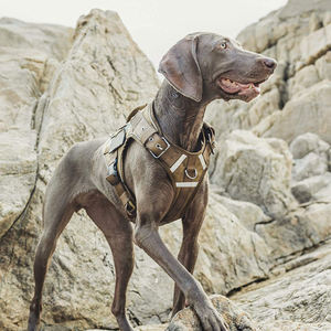 Chaleco Táctico Reflectante Ajustable para Mascotas, Arnés de Servicio al Aire Libre, Fácil Control para Perros Medianos y Grandes - Product Image 6