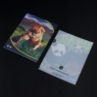Carpeta de Archivo de Papel PP con Diseño de Panda 3D Lenticular de Alta Calidad, Tamaño A4, Marca Smeta, Personalizable con Logotipo de Fábrica, 4 Pilares