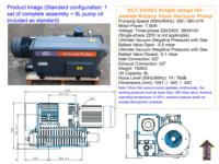Bomba de vacío de paletas rotativas de una etapa con sellado de aceite DLT V0302, hierro, 300m³/h, 7.5kW, trifásica, baja presión, para recubrimiento y conformado, OEM disponible