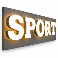 Lettres en acier inoxydable 3D personnalisées avec éclairage frontal pour les enseignes murales des clubs sportifs, des gymnases et des bâtiments