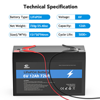 6v 12ah batterie de vélo électrique à cycle profond trois roues Escooter batterie 6v Lifepo4 batterie pour Animal Ride