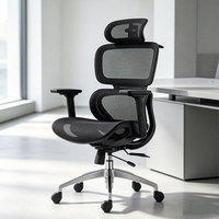Chaise de bureau exécutive ergonomique haut de gamme en maille avec appui-tête 3D réglable, soutien lombaire et accoudoirs réglables, certifiée BFM