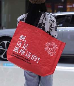 High Quality <b>Foldable</b> Woven <b>Shopping</b> <b>Bags</b> with Reinforced Handles Large Standing Plastic Tote <b>Bags</b> - Product Image 2