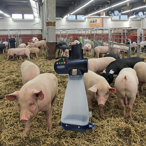 Bán buôn lợn trang trại chăn nuôi thiết bị, đen mang thai lợn nái ăn, thiết bị nông nghiệp - Product Image 2