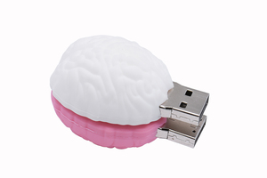 Gitra-memoria <span class=keywords><strong>Usb</strong></span> en forma de cerebro, unidad Flash <span class=keywords><strong>Usb</strong></span> de 1GB, 2GB, 4GB, 16GB <span class=keywords><strong>con</strong></span> logotipo personalizado - Product Image 3