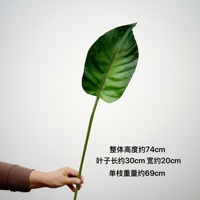 Tanaman Buatan Batok Kelapa (Bird of Paradise), Palem Wisatawan, Daun Premium, Aksesoris Rangkaian Bunga, Lanskap Taman