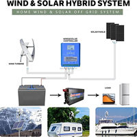 Éolienne à axe vertical de couleur personnalisée 500W avec un design écologique et une installation facile pour un usage domestique Certifiée RoHS