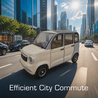 Voiture électrique mini haute performance à 4 roues, véhicule électrique à basse vitesse pour la ville, idéale pour la famille et les trajets urbains