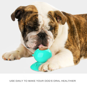 Juguete para masticar TPR en forma de cerdo ecológico para perros y pelota divertida para gatos, ventosa duradera, juguete para tratar mascotas empaquetado - Product Image 5