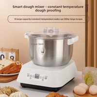 Robot Pétrin Domestique Entièrement Automatique Multifonctionnel, Mélangeur Compact de Cuisine Intelligent avec Fermentation à Température Constante