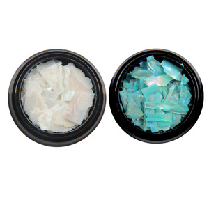 Tszs bán buôn 3D nhiều màu móng tay nghệ thuật trang trí không thường xuyên vỏ mảnh với mỏng Sequins Flake tự nhiên lấy cảm hứng từ thiết kế - Product Image 5