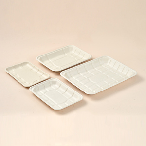 Plateau rectangulaire <span class=keywords><strong>jetable</strong></span> TR104 Protection de l'environnement Vaisselle en bagasse Alternative écologique aux assiettes en plastique - Product Image 4
