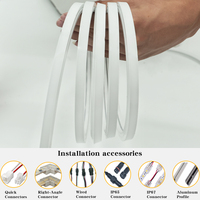 Muestra Gratuita de Luz de Neón de Alta Calidad con Certificación UL, CE, RoHS, Tira de Luz LED de Neón Flexible Blanca de 24V 12V Personalizable de Silicona