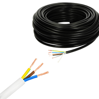 Diakui CE kabel Royal RVV kabel listrik jaket PVC fleksibel aplikasi bangunan inti tembaga 2/3 gulungan kabel inti