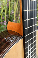 Master Made Friederich Ceder Top Rosewood Professional Classical Guitar