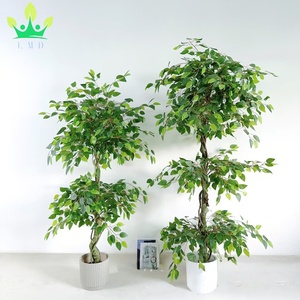 Ficus artificiel <span class=keywords><strong>japonais</strong></span> Fruticosa arbre torsadé avec <span class=keywords><strong>pot</strong></span> noir fausse <span class=keywords><strong>plante</strong></span> <span class=keywords><strong>pour</strong></span> la maison salon bureau <span class=keywords><strong>jardin</strong></span> porche décoration - Product Image 5