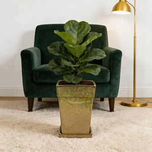 Pot de fleurs en céramique émaillée bicolore contemporain américain avec soucoupe et trou de drainage, vert foncé beige, carré, intérieur/extérieur - Product Image 2