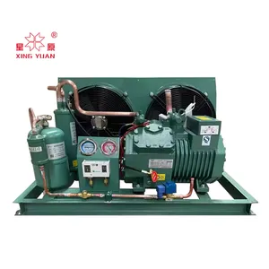 Best Price Air Cooled Condensing Unit bizer semi-hermetic compressor refrigeration unit for Cold room