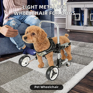 Silla de Ruedas Delantera para Mascotas de 4 Ruedas, Ligera, Ajustable, para Perros, Ayuda para Caminar, Rehabilitación, para Mascotas Pequeñas y Medianas - Product Image 4