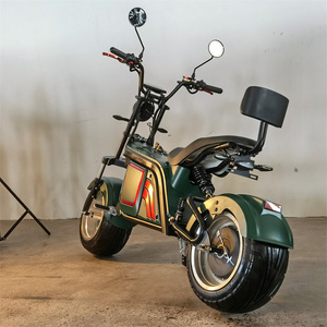 LeonCitycoco <span class=keywords><strong>Prix</strong></span> d'usine Moto électrique pour adultes à vendre - Product Image 1