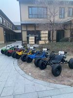 Go Kart de Gasolina de Alta Potencia de 4 Tiempos y 63cc-212cc para Adultos y Niños, Buggy Todoterreno para Carreras al Aire Libre
