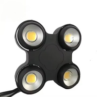 4X100W 2in1 COB Audience Blinder LED Stage Light DMX512 Outdoor IP65 200W COB LED Waterproof PAR Light