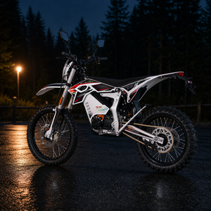 Moteur TYE haute performance 72V MID-Drive pour motocross, cross moto, dirt bike avec homologation EEC - Product Image 2