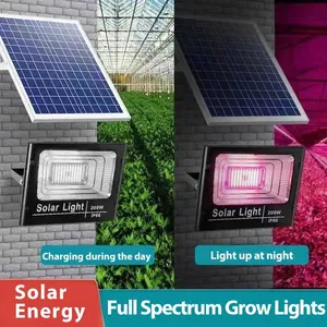 태양 광 투광 조명 식물 성장 빛 방수 식물 램프 꽃 묘목 35W 60W 전체 스펙트럼 LED 태양 광 발전 성장 조명