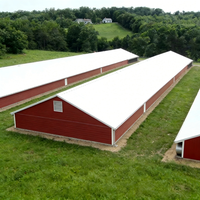 Structure en acier haute résistance, isolée thermiquement, résistante au vent et aux tremblements de terre, poulailler moderne préfabriqué