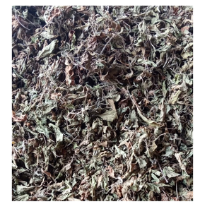Good Sell Holy Basil Leaf <b>Tulsi</b> Leaves Seeds Leaves Private Label Holy Basil <b>Tea</b> <b>Tulsi</b> Herbal <b>Tea</b> Good For Health - Product Image 2