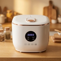Autocuiseur de riz WT-A12-3.0L 500W en acier inoxydable avec cuve antiadhésive, affichage numérique LED, pour repas faibles en sucre, maintien au chaud 8h pour usage domestique