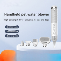 Sèche-cheveux brosse pour animaux de compagnie, chiens et chats, avec soin ionique, moteur haute vitesse, contrôle de la température, outil de nettoyage pour animaux