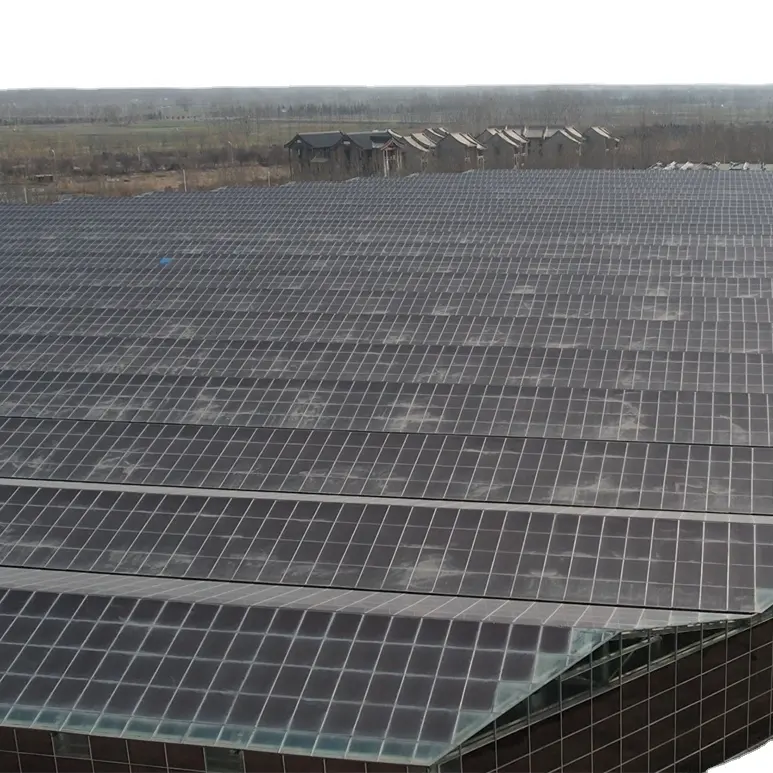 Estufa fotovoltaica com sistema hidropônico, equipamento e ferramentas para cultivo de cogumelos, excelente preço