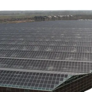 Serre photovoltaïque de grande valeur Pc Board avec système hydroponique Équipements de culture de champignons Équipements et outils agricoles