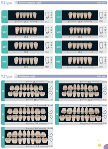 Dientes de Resina Acrílica Anteriores Superiores e Inferiores de Alta Calidad, 2, 3 y 4 Capas, Prótesis Dentales - Product Image 4
