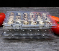 Barquette à œufs de caille en PET transparent certifiée REACH, écologique, 24 alvéoles, jetable, personnalisable, durable, emballage blister pour la vente en gros