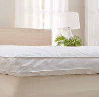 Couverture de matelas Extra épaisse, oreiller en peluche, surmatelas