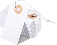 Étiquettes blanches vierges écologiques et résistantes, 100 pièces, personnalisables avec logo, vente en gros, étiquettes renforcées avec cordon élastique