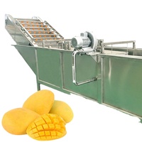Commerciële Mango Vruchtensap Sapcentrifuge Machine Mango Puree Pulp Productielijn
