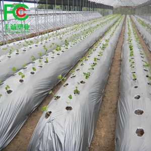 Paillis plastique organique, couverture de sol pour l'agriculture de jardin, film anti-mauvaises herbes, paillis pour le contrôle des mauvaises herbes, couverture de sol anti-herbe - Product Image 4